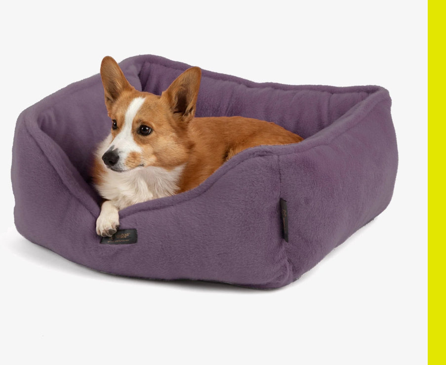 The NANDOG Dream ONE
Reversible Bed in Royal Purple